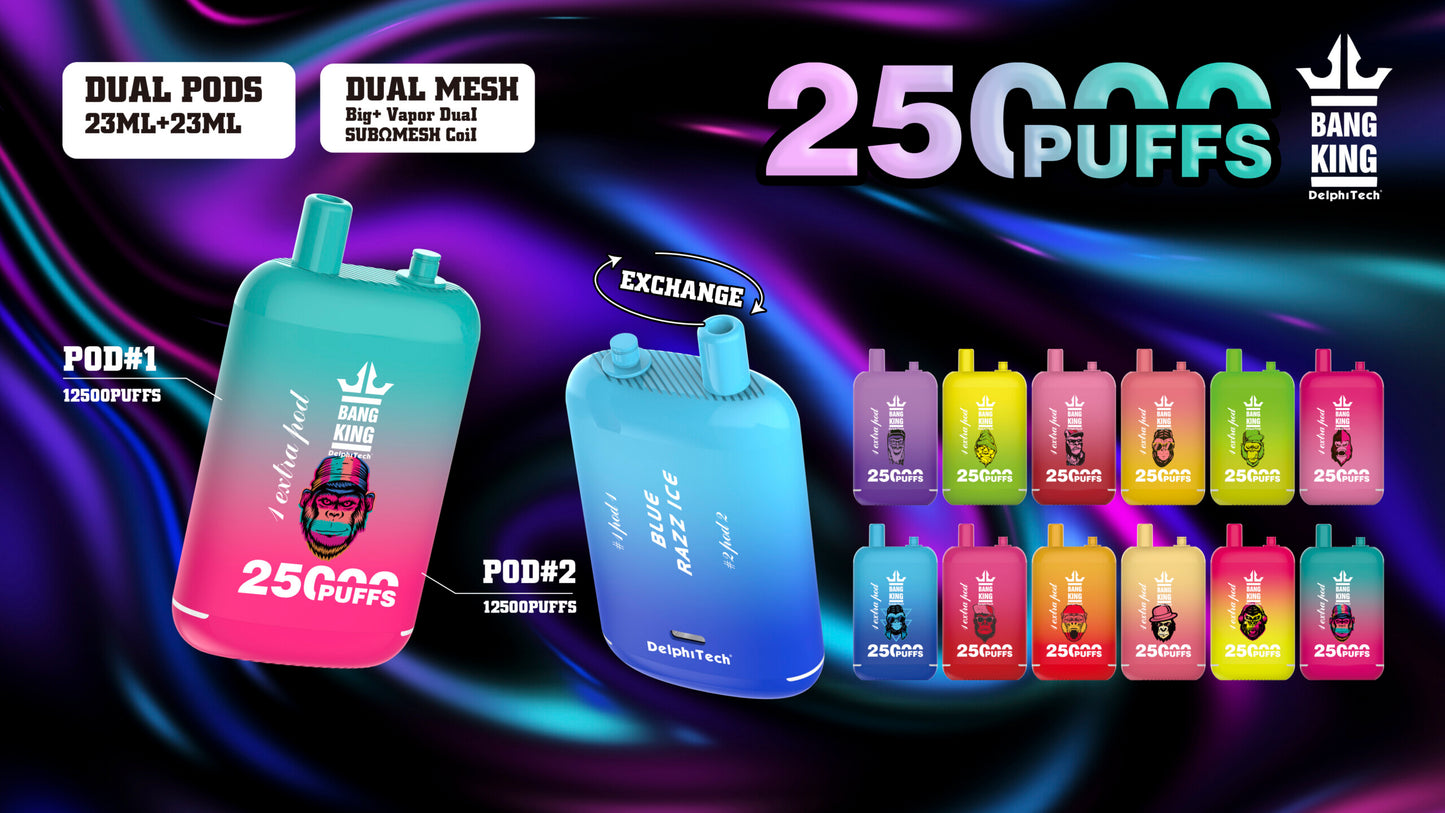 Bang 25000 Puffs Dual Mesh Coil Pod Rechargeable E Cigarette Disposable Vapes Bang King 25k Puff
