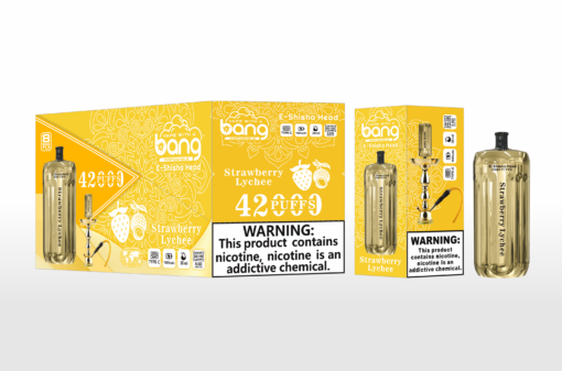 Bang Blaze E-Shisha Head 42000 Puffs(0% to 5% Nicotine) - 30ml E-Liquid, 1000mAh Battery 12 Flavors