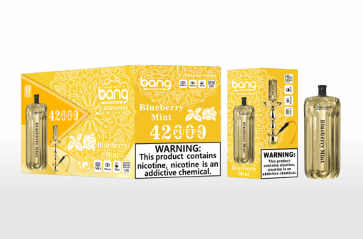 Bang Blaze E-Shisha Head 42000 Puffs(0% to 5% Nicotine) - 30ml E-Liquid, 1000mAh Battery 12 Flavors