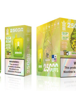 Bang 25000 Puffs Dual Mesh Coil Pod Rechargeable E Cigarette Disposable Vapes Bang King 25k Puff