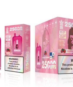 Bang 25000 Puffs Dual Mesh Coil Pod Rechargeable E Cigarette Disposable Vapes Bang King 25k Puff