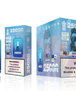 Bang 25000 Puffs Dual Mesh Coil Pod Rechargeable E Cigarette Disposable Vapes Bang King 25k Puff