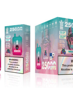 Bang 25000 Puffs Dual Mesh Coil Pod Rechargeable E Cigarette Disposable Vapes Bang King 25k Puff