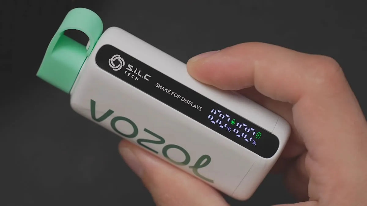 VOZOL STAR 9000 Puffs Disposable Vape (0% to 5% Nicotine)14ml 650mAh rechargeable battery Wholesale 29 Flavors