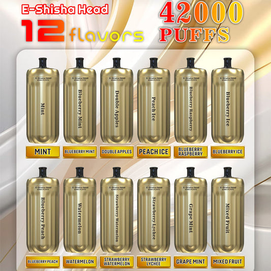 BANG E-Shisha Head 42000 Puffs Disposable Vape Wholesale-1000mAh battery, 30ml E-liquid, Multiple Nicotine 12 Flavors
