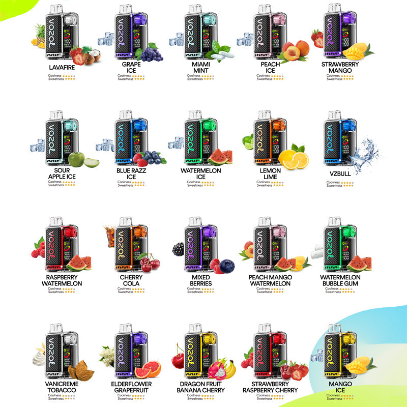 VOZOL VISTA 20000 Puffs Disposable Vape Wholesale-650mAh Battery, 24ml E-liquid, Multiple Nicotine 20 Flavors