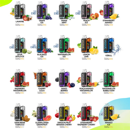 VOZOL VISTA 20000 Puffs Disposable Vape Wholesale-650mAh Battery, 24ml E-liquid, Multiple Nicotine 20 Flavors
