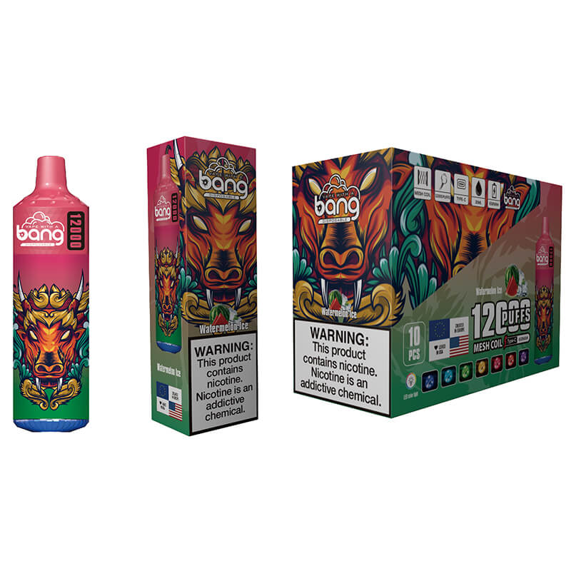 Bang disposable 12000 puff Disposable Vape 650 mAh 20 ML 20 Flavors
