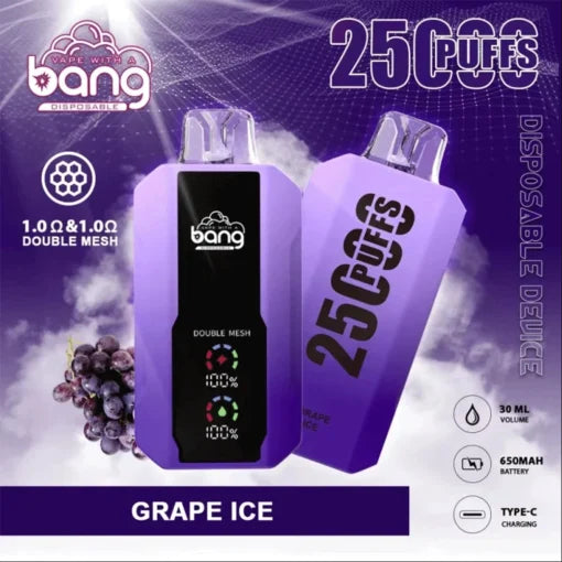 Bang 25000 Puffs Vape 25K Disposable Vape Pen E Cigarette Prefilled 30ml 650mAh Disposable Vape 12 Flavors