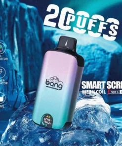 Bang disposable 20000 puff Wholesale 25 ML 650 mAh 12 Flavors