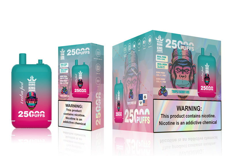 Bang 25000 Puffs Dual Mesh Coil Pod Rechargeable E Cigarette Disposable Vapes Bang King 25k Puff