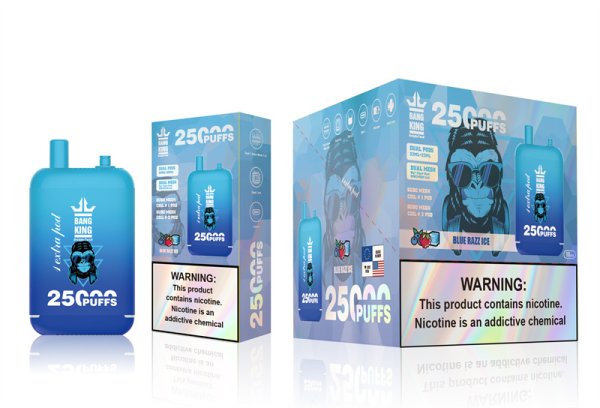 Bang 25000 Puffs Dual Mesh Coil Pod Rechargeable E Cigarette Disposable Vapes Bang King 25k Puff