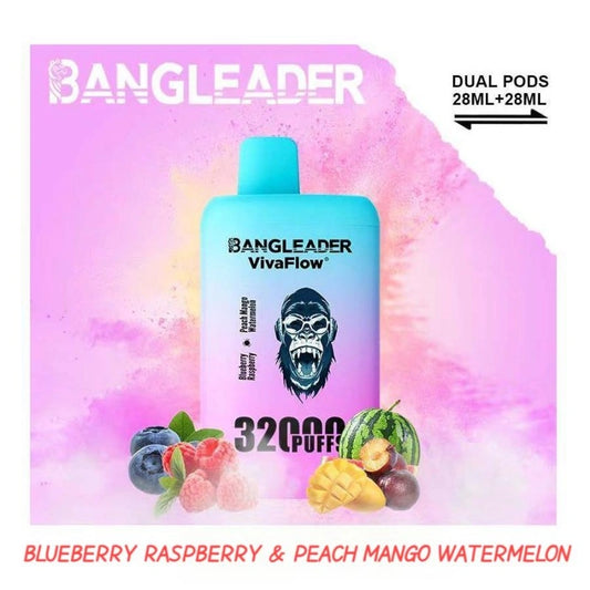 BANGLEADER 32000 PUFFS DUAL FLAVORS Vape Good Sale Discount Price-650mAh Battery, 28ml E-liquid, Multiple Nicotine 12 Flavors
