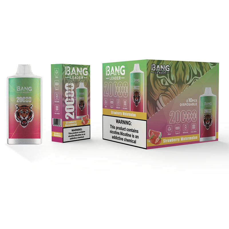 Bang Leader 20000 Puffs Disposable Vape - 28ml E-Liquid, 650mAh Battery,Summer 12 Flavors。
