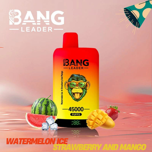 Bang Leader 45000 Puffs Dual Flavors Factory Direct Supply Bulk Price-650mAh Battery, Multiple Nicotine 12 Flavors