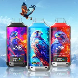 JNR 18000 Puffs Vape 18K Disposable Vape Pen E Cigarette Prefilled 24ml 950mAh Disposable Vape 12 Flavors