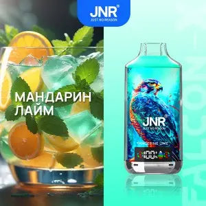JNR 18000 Puffs Vape 18K Disposable Vape Pen E Cigarette Prefilled 24ml 950mAh Disposable Vape 12 Flavors