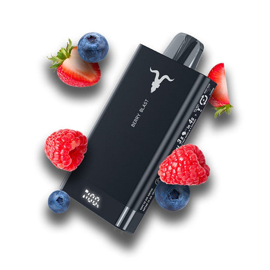 IGNITE V150 β 15K Puffs Disposable Vape | 5% Nicotine