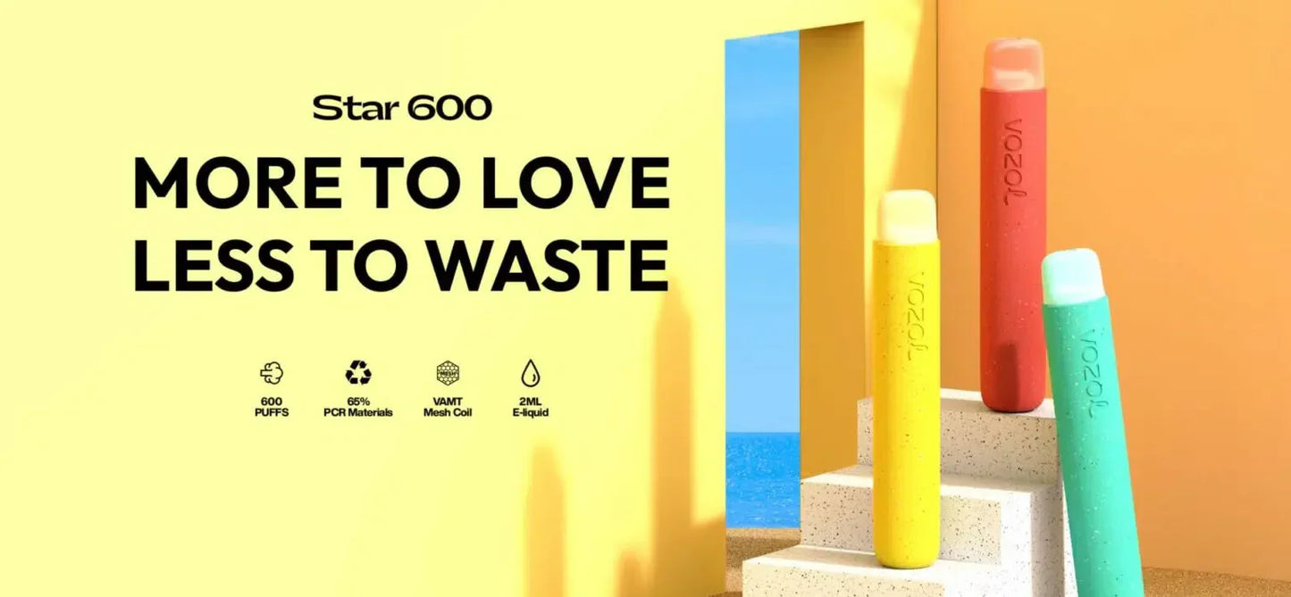 Vozol Star 600 puffs Disposable Vape Kit 20mg Nicotine 550mAh battery 15 Flavors
