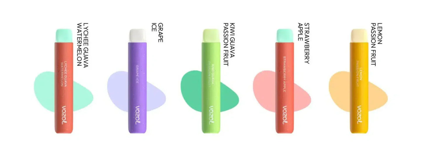 Vozol Star 600 puffs Disposable Vape Kit 20mg Nicotine 550mAh battery 15 Flavors