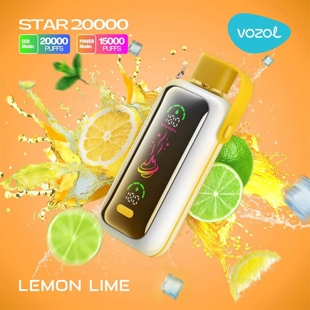 Vozol Star 20000 puff Disposable Vape 20 Flavors 650mAh In Sales EU warehouse