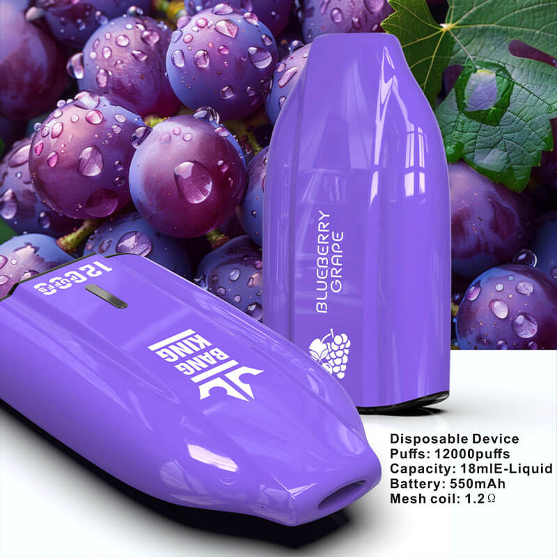 Bang King 12000 Puffs Disposable Vape(0% to 5% Nicotine) - 12ml E-Liquid, 600mAh Battery 12 Flavors