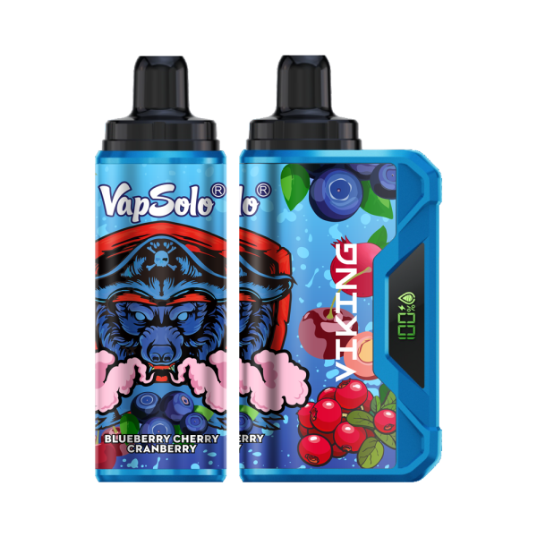 VapSolo Viking 12K Puffs Disposable Vape | Ajustable Airflow,LCD Display,Type-C port
