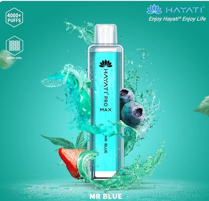 Hayati Pro Max 4000 Disposable Vape Pod Device – Box of 10
