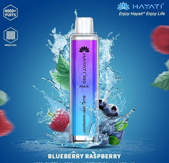 Hayati Pro Max 4000 Disposable Vape Pod Device – Box of 10