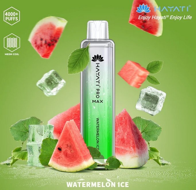 Hayati Pro Max 4000 Disposable Vape Pod Device – Box of 10