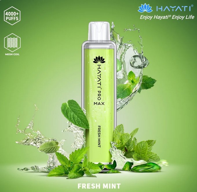 Hayati Pro Max 4000 Disposable Vape Pod Device – Box of 10