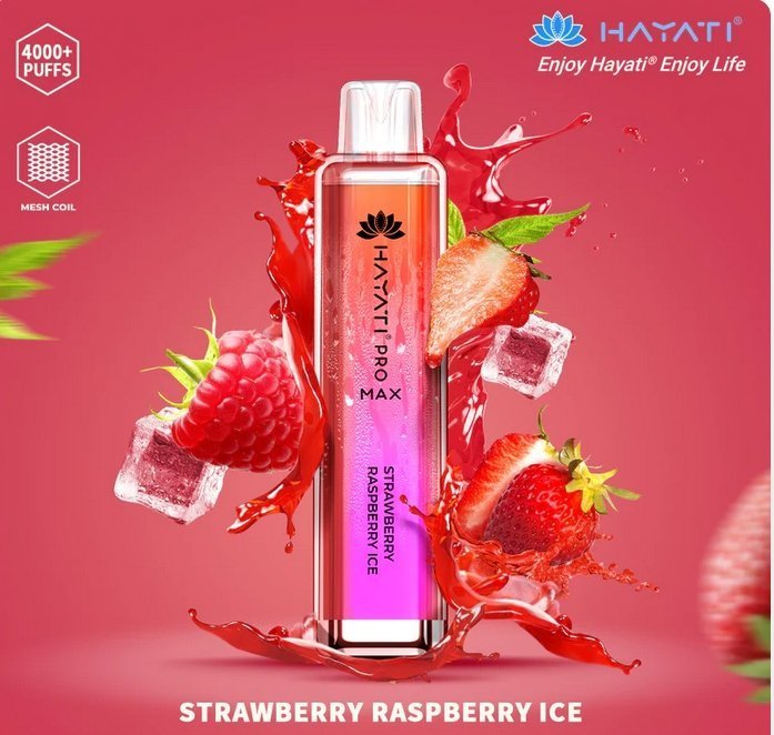 Hayati Pro Max 4000 Disposable Vape Pod Device – Box of 10