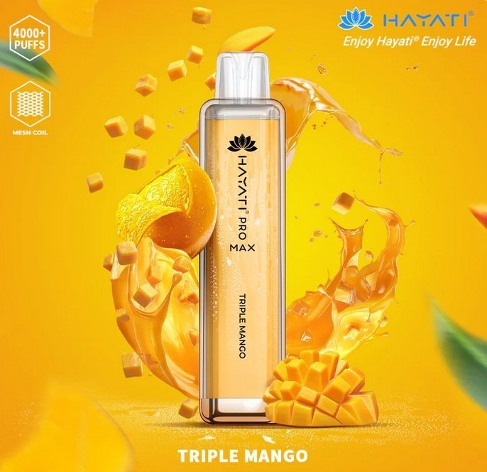 Hayati Pro Max 4000 Disposable Vape Pod Device – Box of 10