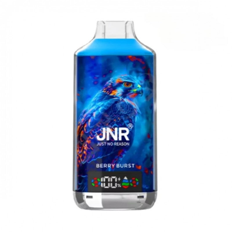 JNR 18000 Puffs Vape 18K Disposable Vape Pen E Cigarette Prefilled 24ml 950mAh Disposable Vape 12 Flavors