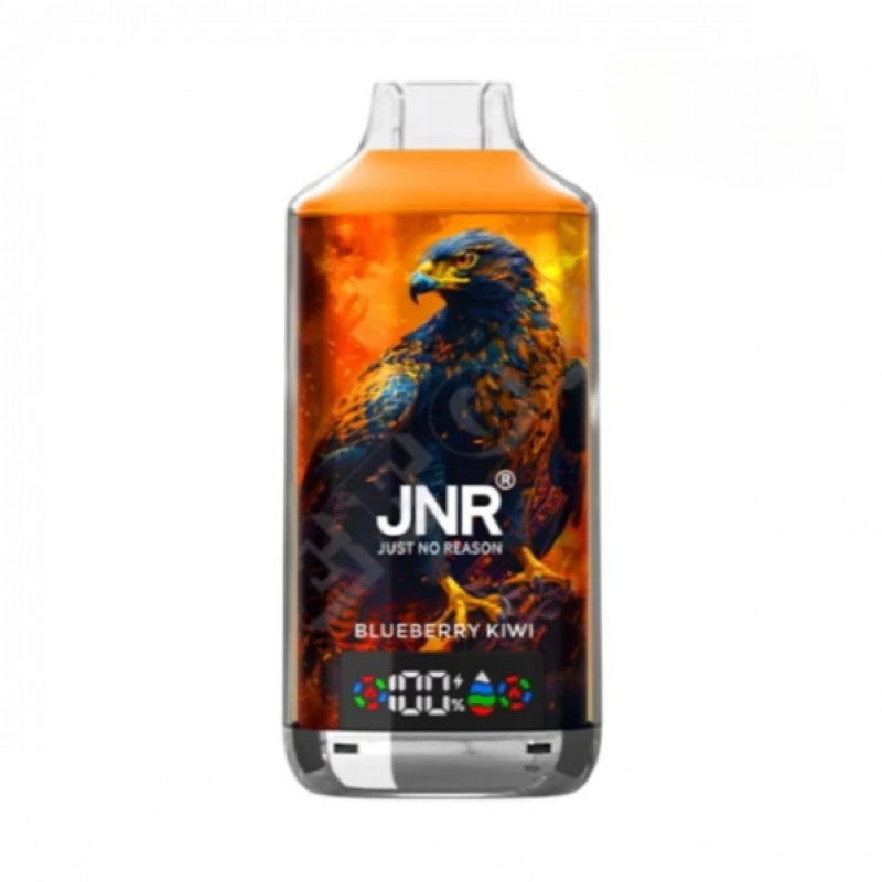 JNR 18000 Puffs Vape 18K Disposable Vape Pen E Cigarette Prefilled 24ml 950mAh Disposable Vape 12 Flavors