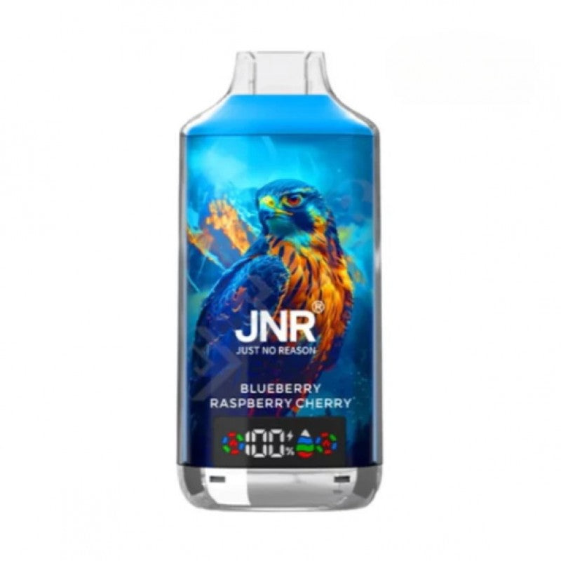 JNR 18000 Puffs Vape 18K Disposable Vape Pen E Cigarette Prefilled 24ml 950mAh Disposable Vape 12 Flavors