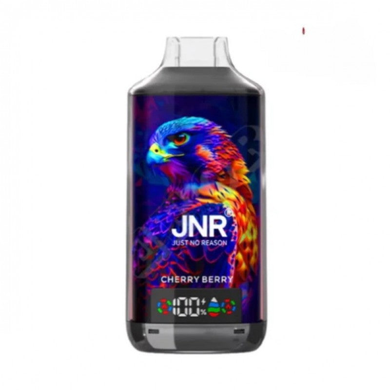 JNR 18000 Puffs Vape 18K Disposable Vape Pen E Cigarette Prefilled 24ml 950mAh Disposable Vape 12 Flavors
