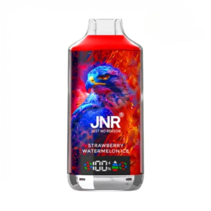 JNR 18000 Puffs Vape 18K Disposable Vape Pen E Cigarette Prefilled 24ml 950mAh Disposable Vape 12 Flavors