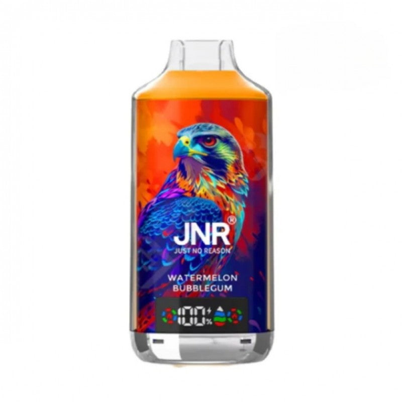 JNR 18000 Puffs Vape 18K Disposable Vape Pen E Cigarette Prefilled 24ml 950mAh Disposable Vape 12 Flavors