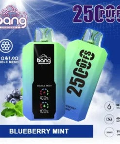 Bang 25000 Puffs Vape 25K Disposable Vape Pen E Cigarette Prefilled 30ml 650mAh Disposable Vape 12 Flavors