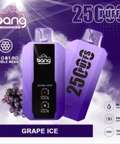 Bang 25000 Puffs Vape 25K Disposable Vape Pen E Cigarette Prefilled 30ml 650mAh Disposable Vape 12 Flavors