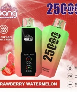 Bang 25000 Puffs Vape 25K Disposable Vape Pen E Cigarette Prefilled 30ml 650mAh Disposable Vape 12 Flavors