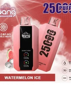 Bang 25000 Puffs Vape 25K Disposable Vape Pen E Cigarette Prefilled 30ml 650mAh Disposable Vape 12 Flavors