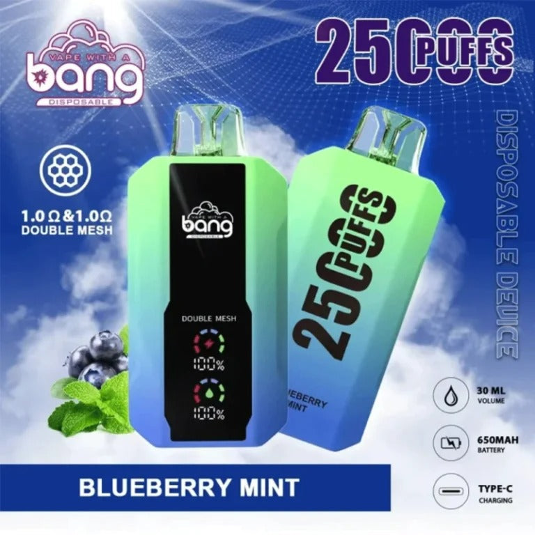 Bang 25000 Puffs Vape 25K Disposable Vape Pen E Cigarette Prefilled 30ml 650mAh Disposable Vape 12 Flavors