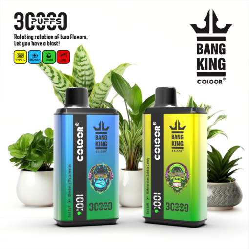 Bang King Colloor 30000 Puffs Vape 30K Disposable Vape Pen E Cigarette Prefilled 36ml 550mAh