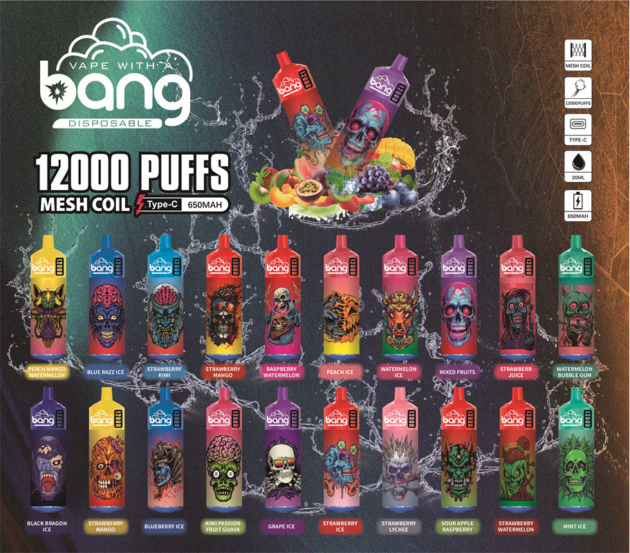 Bang disposable 12000 puff Disposable Vape 650 mAh 20 ML 20 Flavors