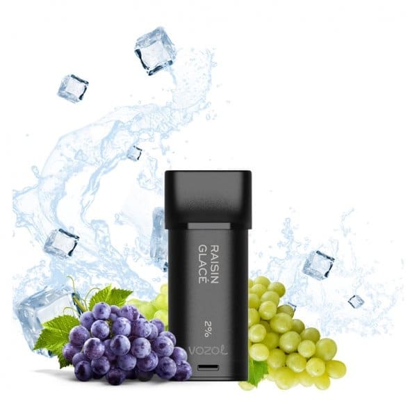 VOZOL Switch 600 puffs - Pack de 2 Cartouches 2ml capacity 12 FLAVORS