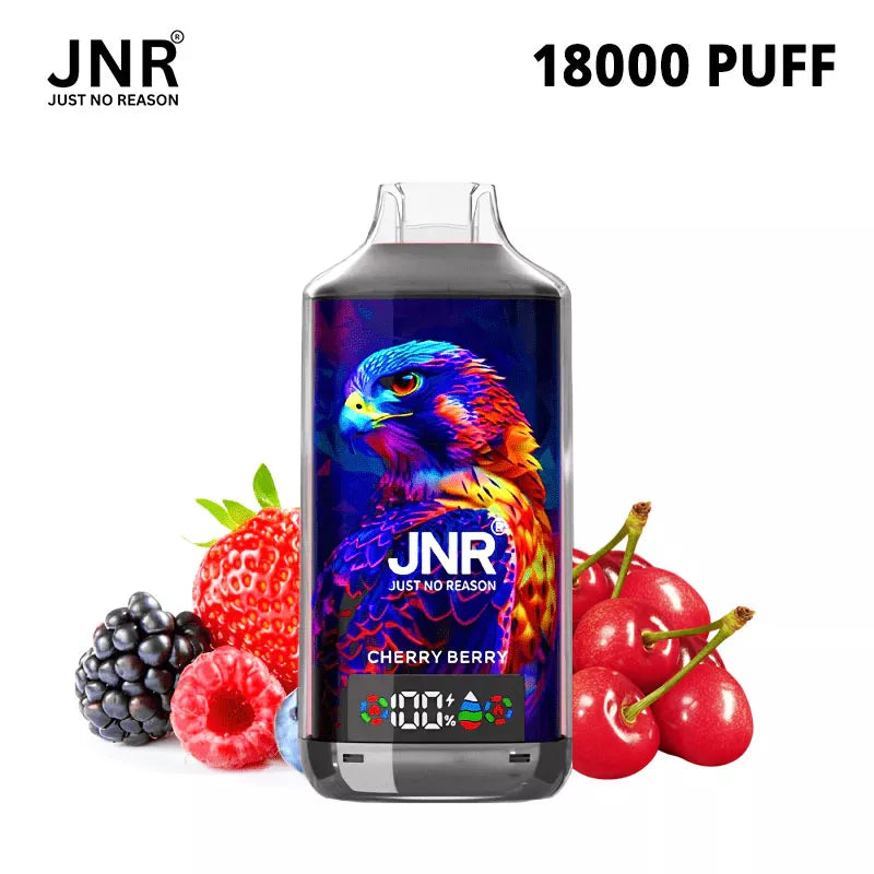 JNR 18000 18k Puffs Falcon X Vape Wholesale Price France Belgium Netherlands-950mAh Battery, 24ml E-liquid, Multiple Nicotine 28 Flavors