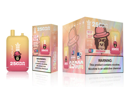 Bang 25000 Puffs Dual Mesh Coil Pod Rechargeable E Cigarette Disposable Vapes Bang King 25k Puff