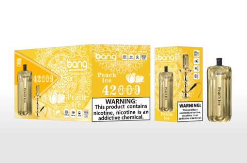 Bang Blaze E-Shisha Head 42000 Puffs(0% to 5% Nicotine) - 30ml E-Liquid, 1000mAh Battery 12 Flavors